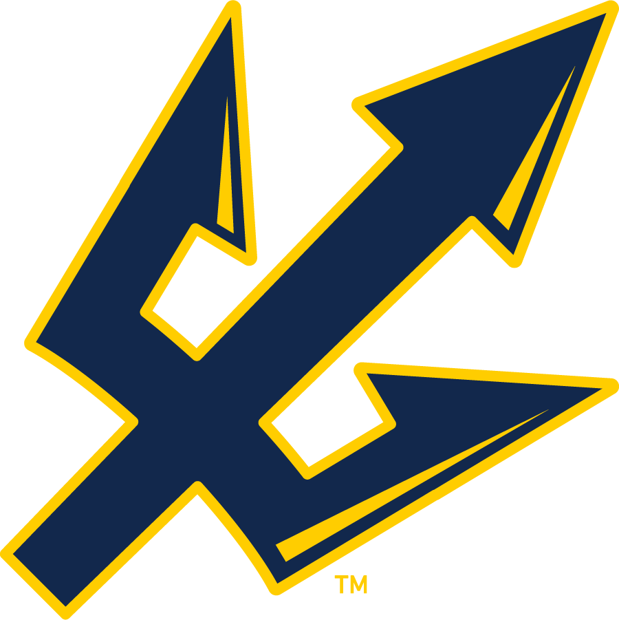 UC San Diego Tritons 2018-Pres Secondary Logo v2 diy iron on heat transfer
